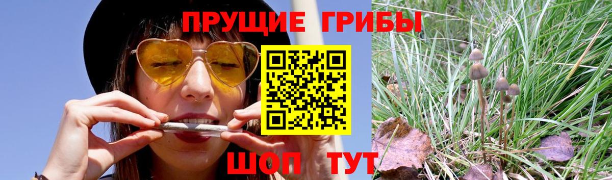 Галлюциногенные грибы Psilocybe  дарнет шоп  Ирбит  Вход с VPN 